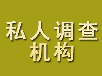 东山私人调查机构